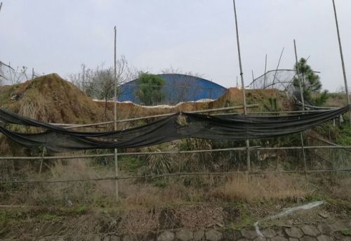 樟树筑卫城遗址旅行图片 3