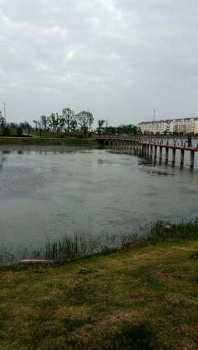 苏郢水库公园旅行图片 1