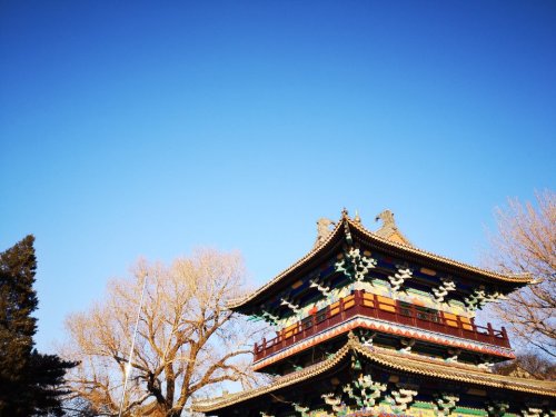 白塔公园-佛亭