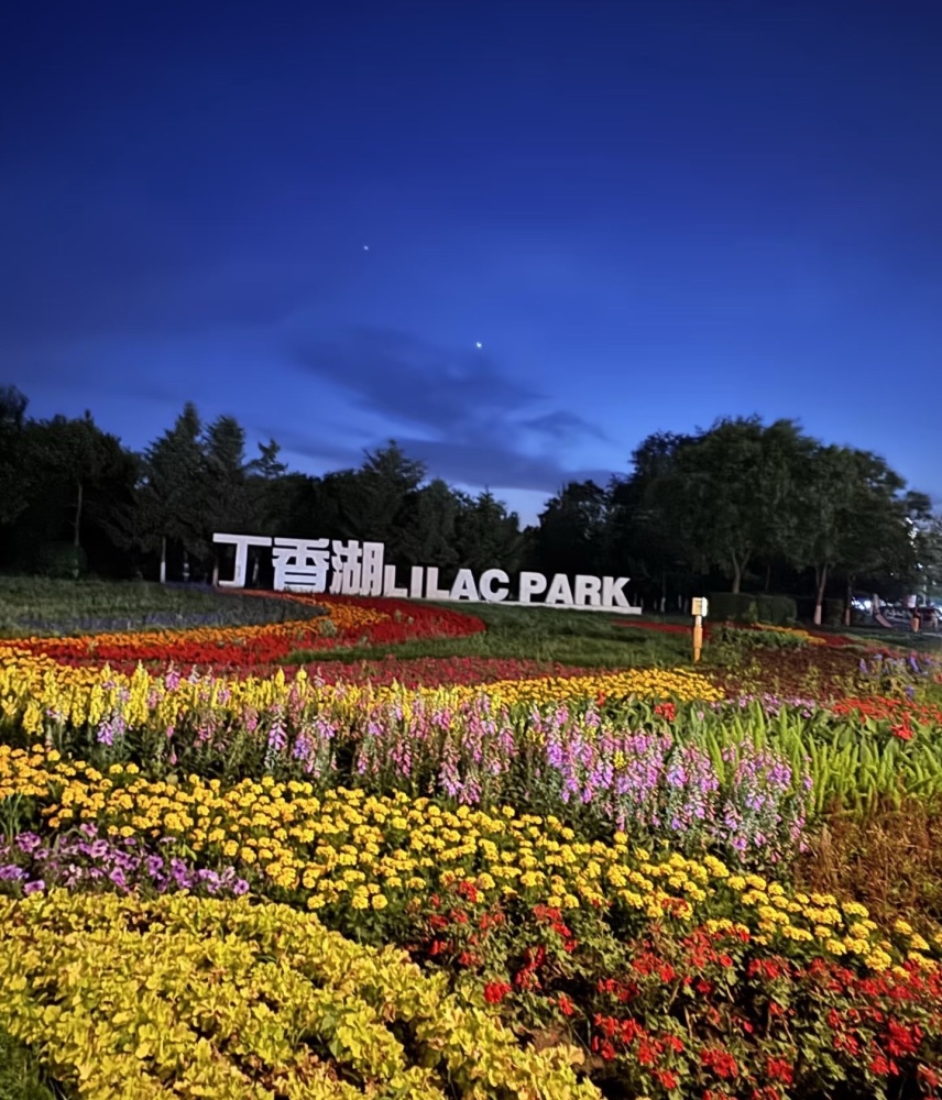 丁香湖公园景点图片
