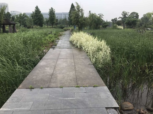 九塘围垦文化公园旅行图片 1