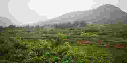 迷迭香谷旅行图片 3