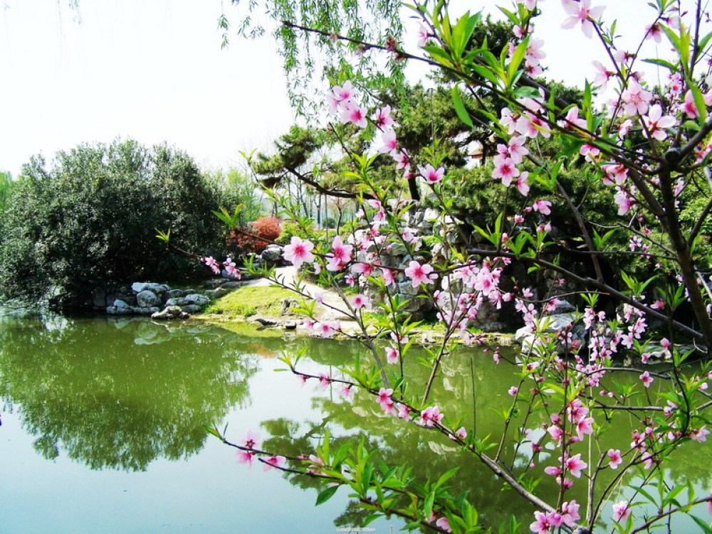 玄武湖景区情侣园景点图片