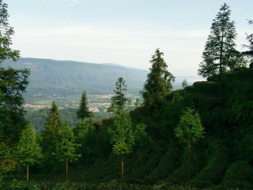 侯家山寨旅行图片 1