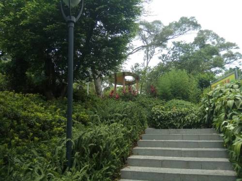 佛祖山社区公园旅行图片 1
