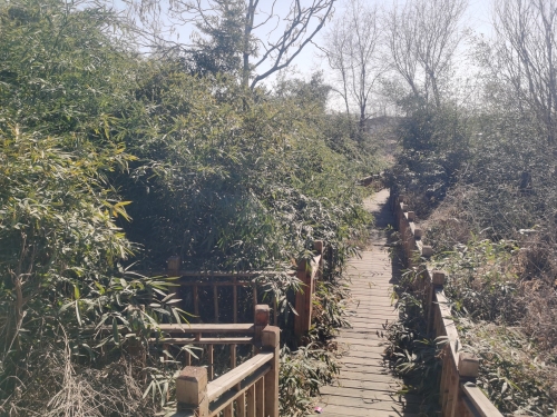 吉祥镇湿地公园