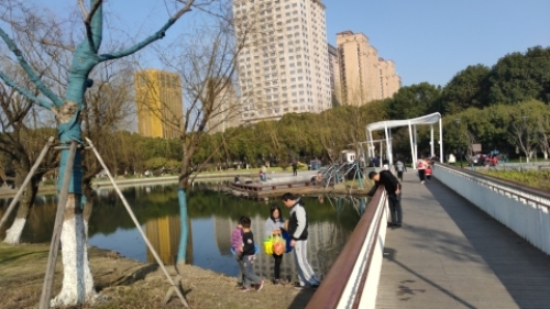 黄浦公园旅行图片 2