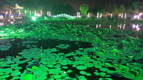 梅河口公园旅行图片 2