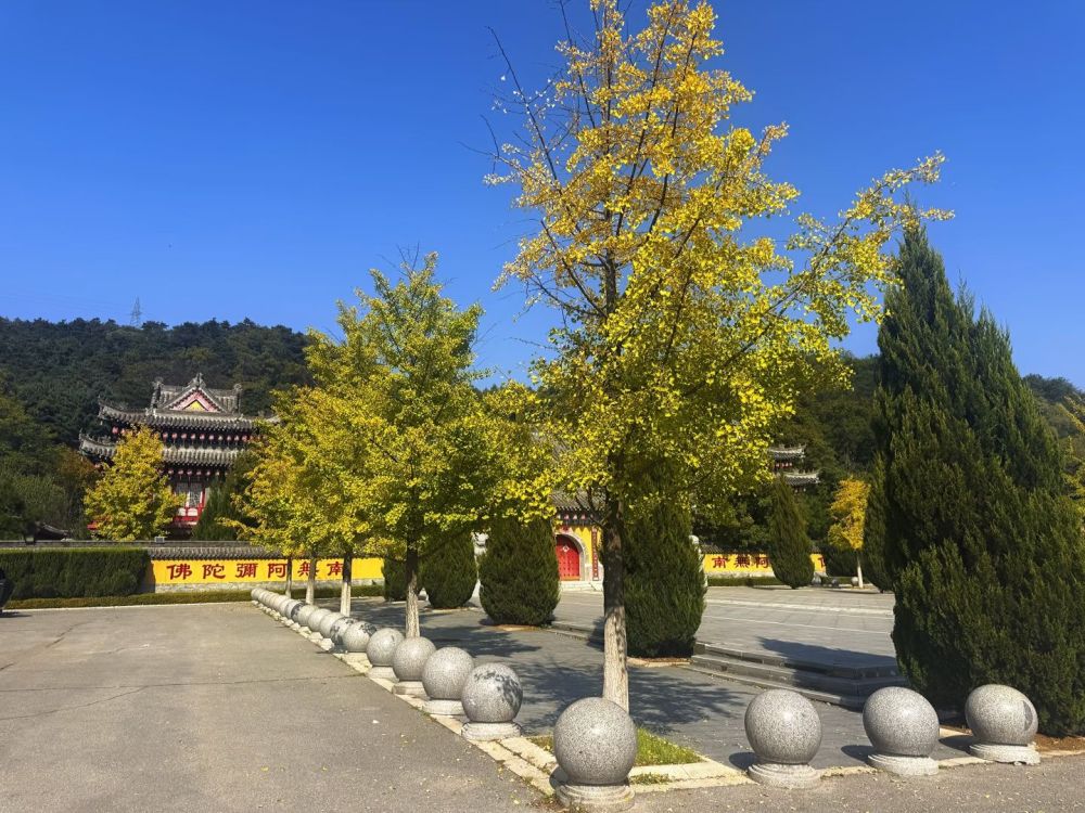温泉寺景点图片