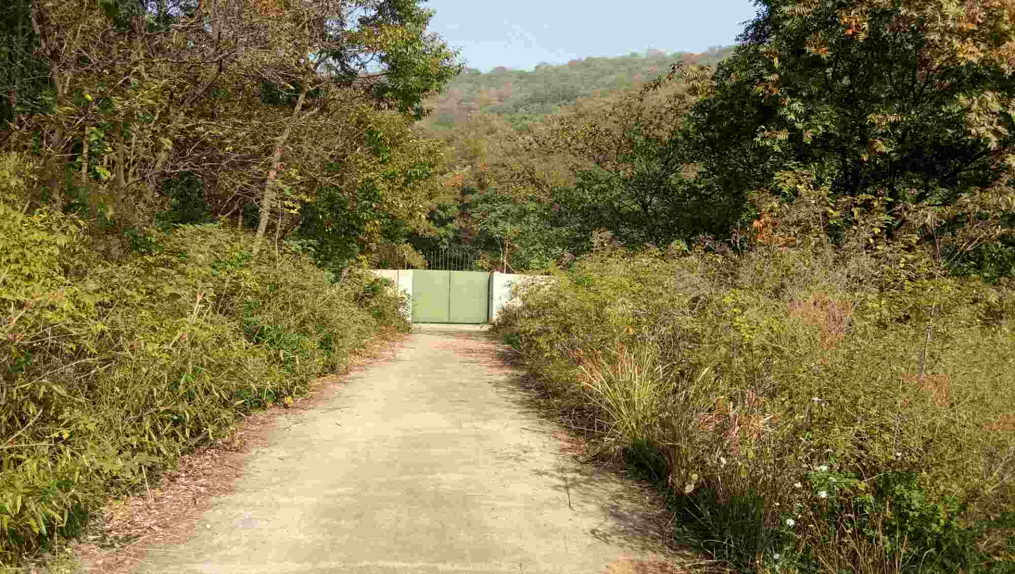 黄龙寺实景照片