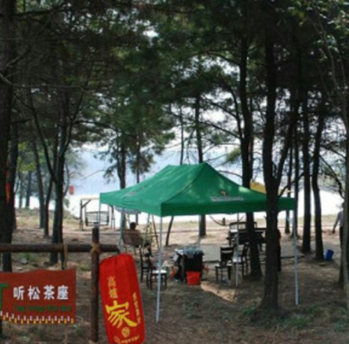 肥西老母鸡家园旅行图片 3