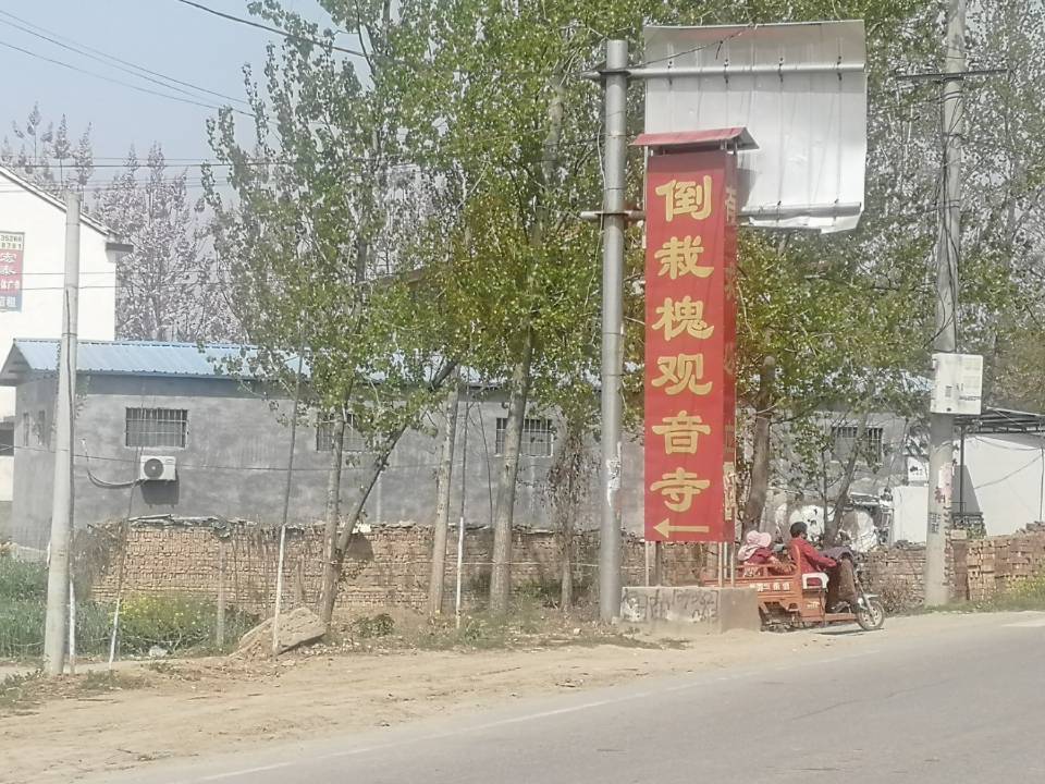 倒栽槐观音寺实景照片