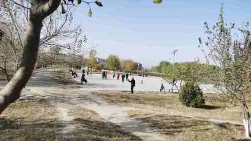 朝宗桥公园旅行图片 1