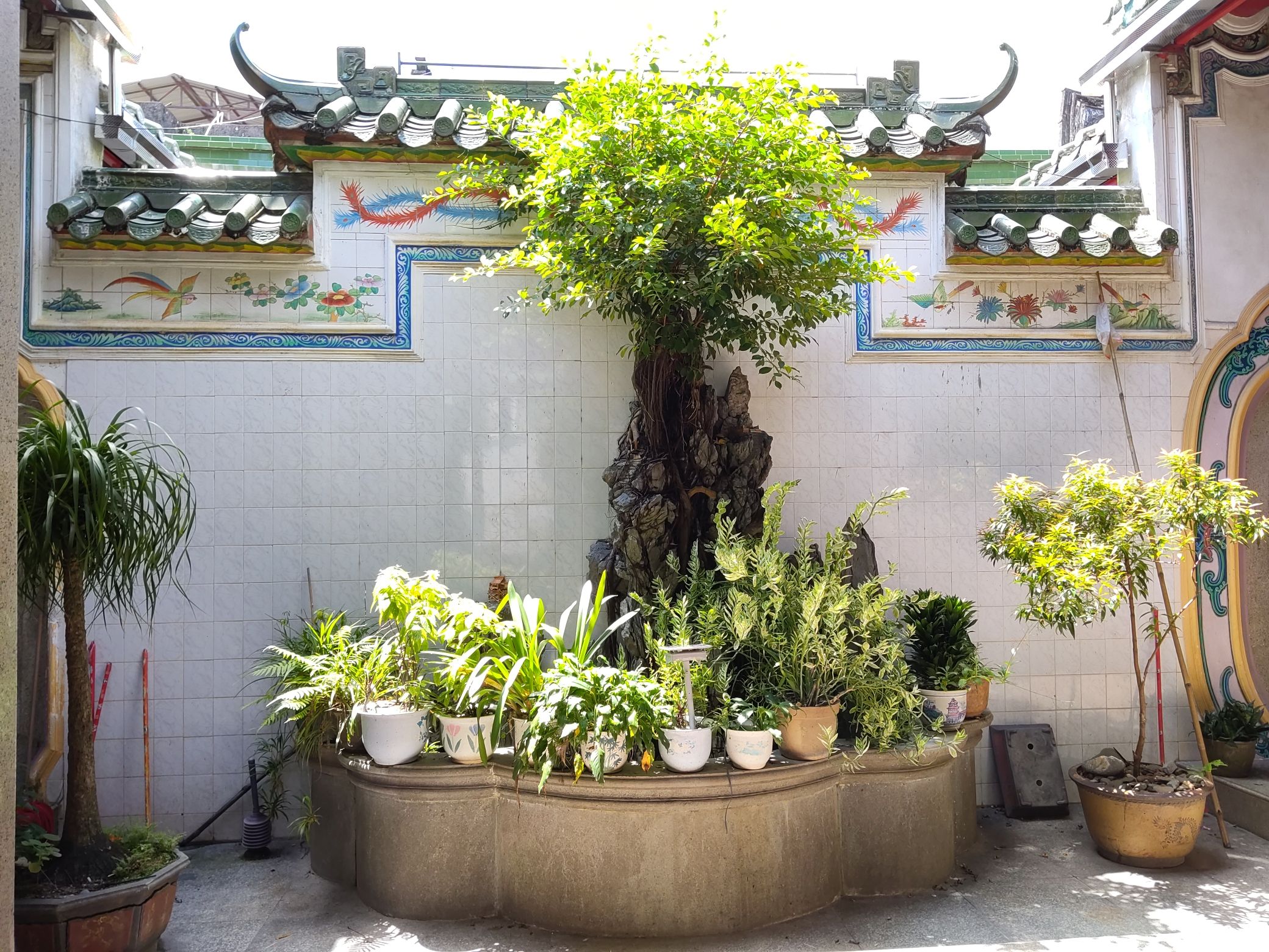 玉虚观实景照片