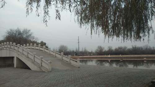 天鹅湖旅行图片 2