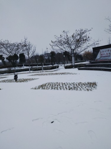 城南公园旅行图片 1