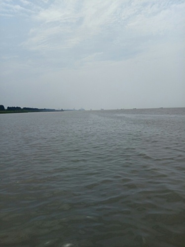 南门景观大堤-崇明沿江观光大堤旅行图片 3
