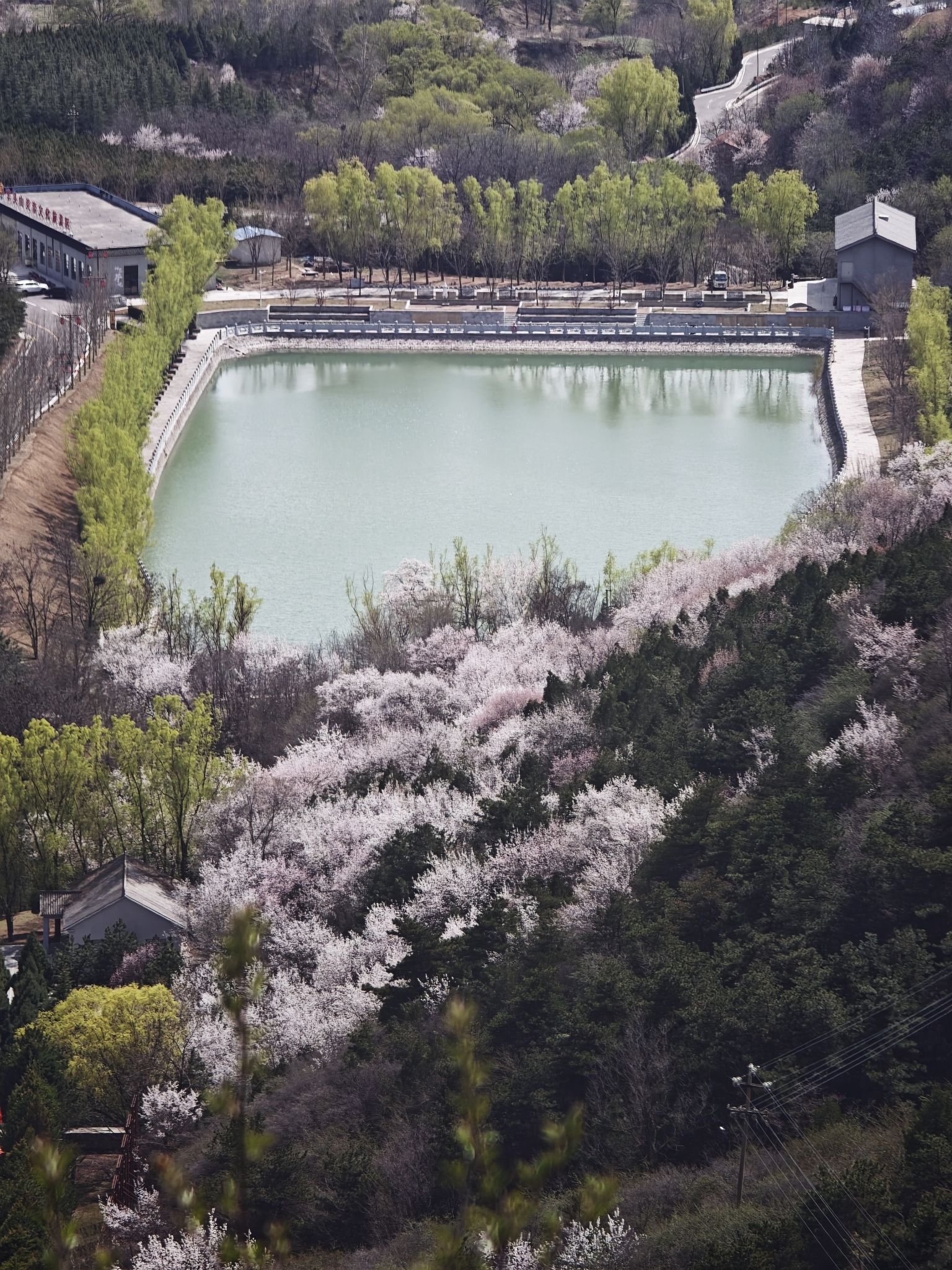 羊头山森林公园