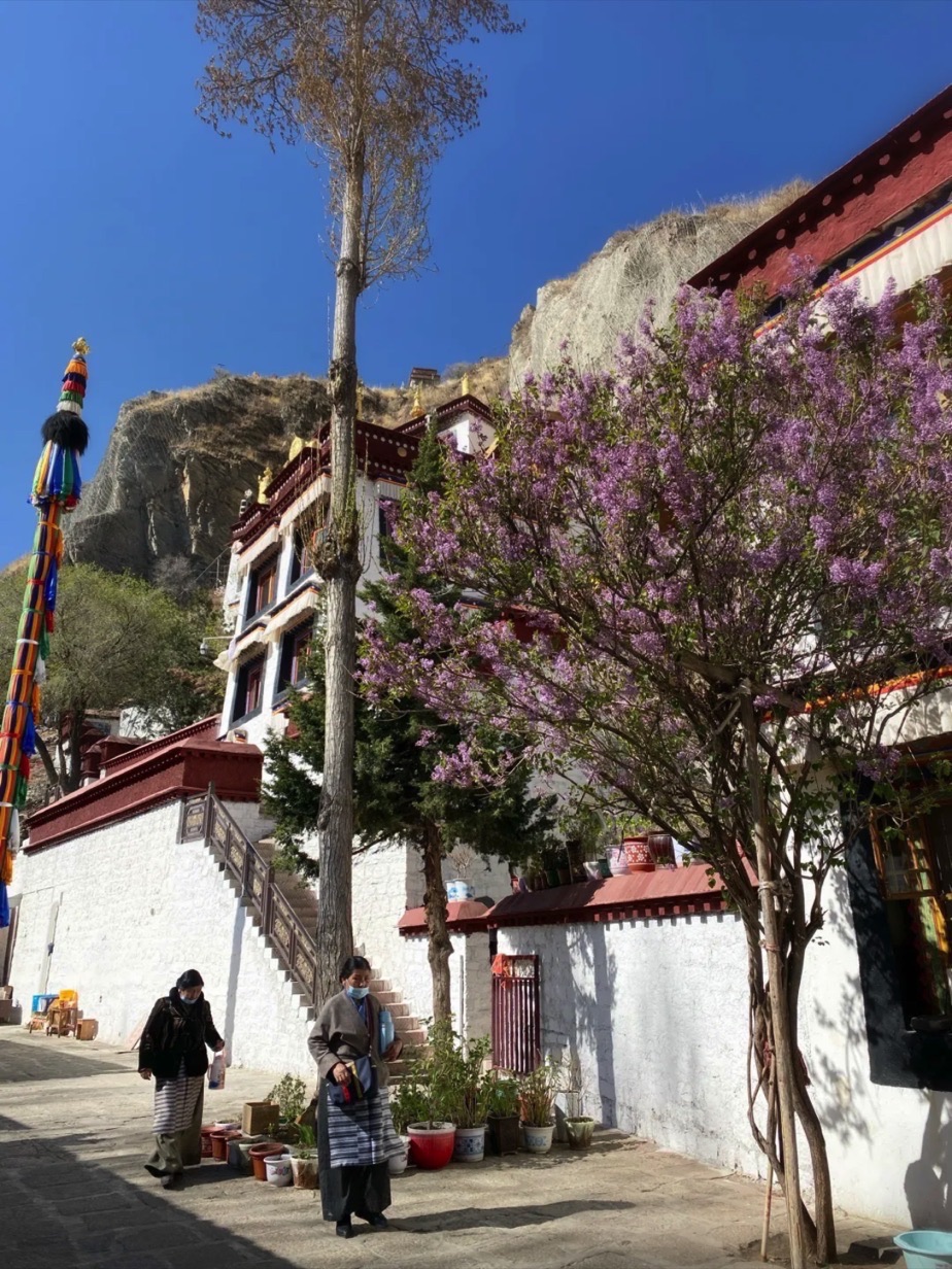 药王山-鲁普岩寺实景照片