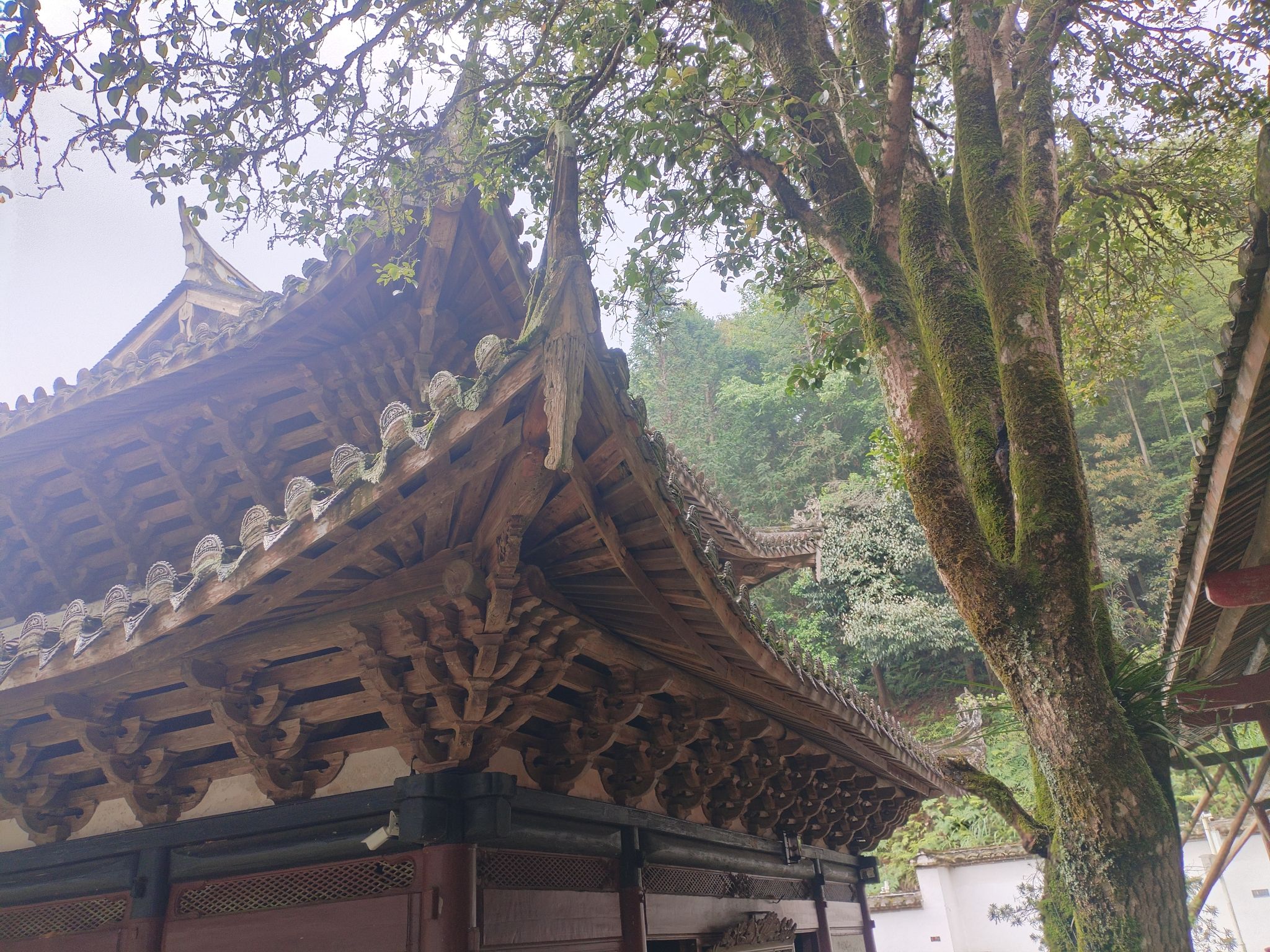 云峰禅林实景照片