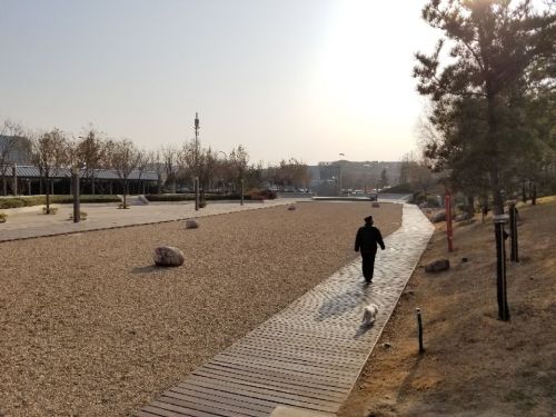 祭伯城遗址公园旅行图片 3