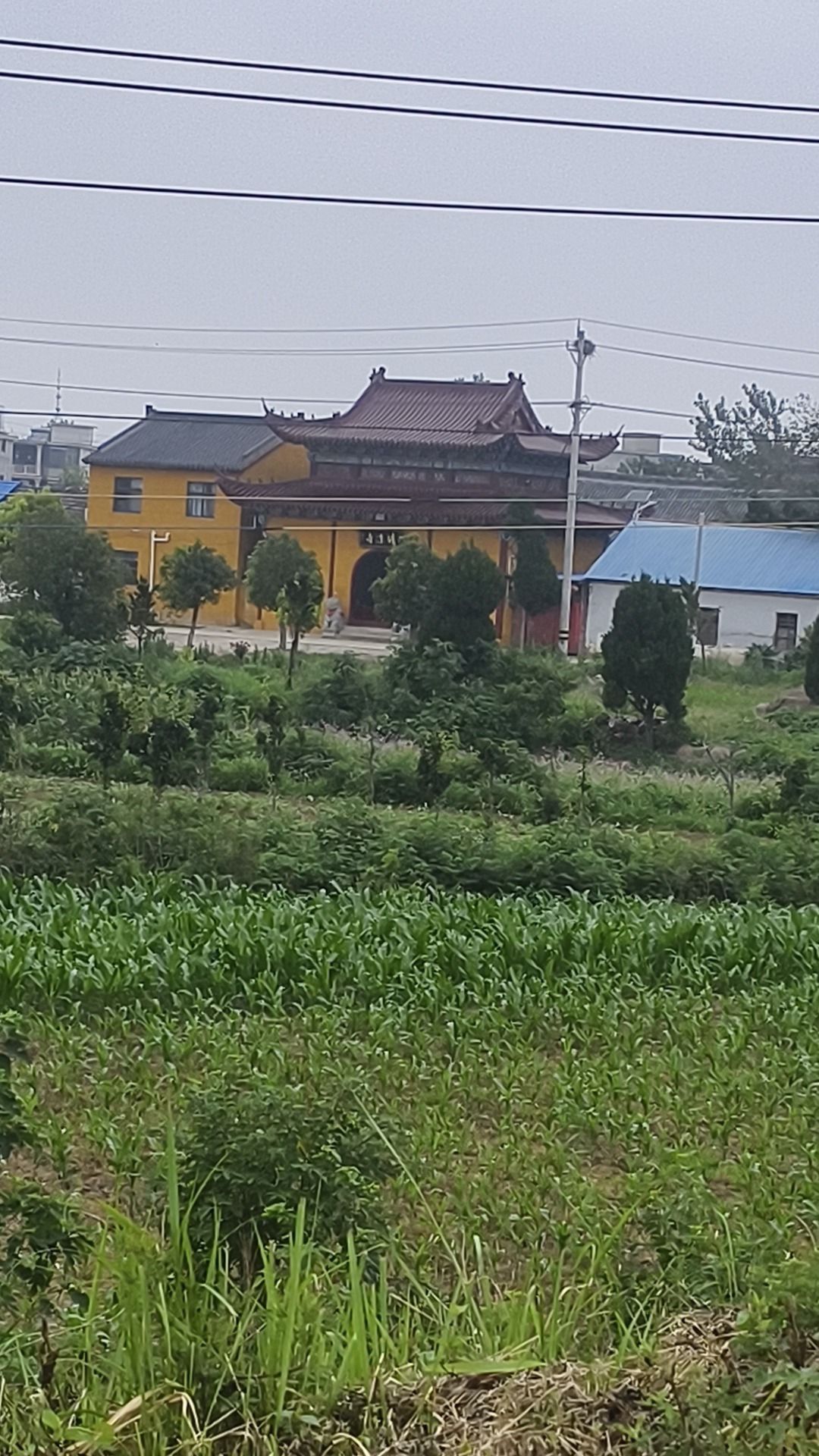 清凉寺实景照片