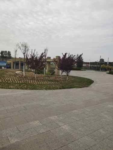 滨河休闲公园旅行图片 1