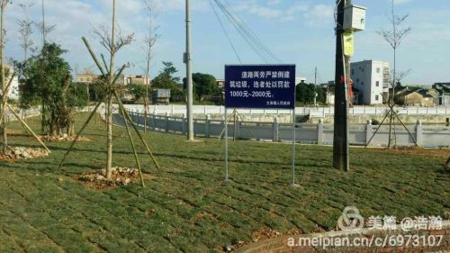 翰田中山公园旅行图片 3