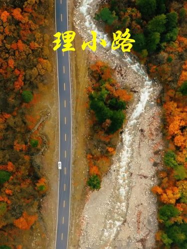 理小路