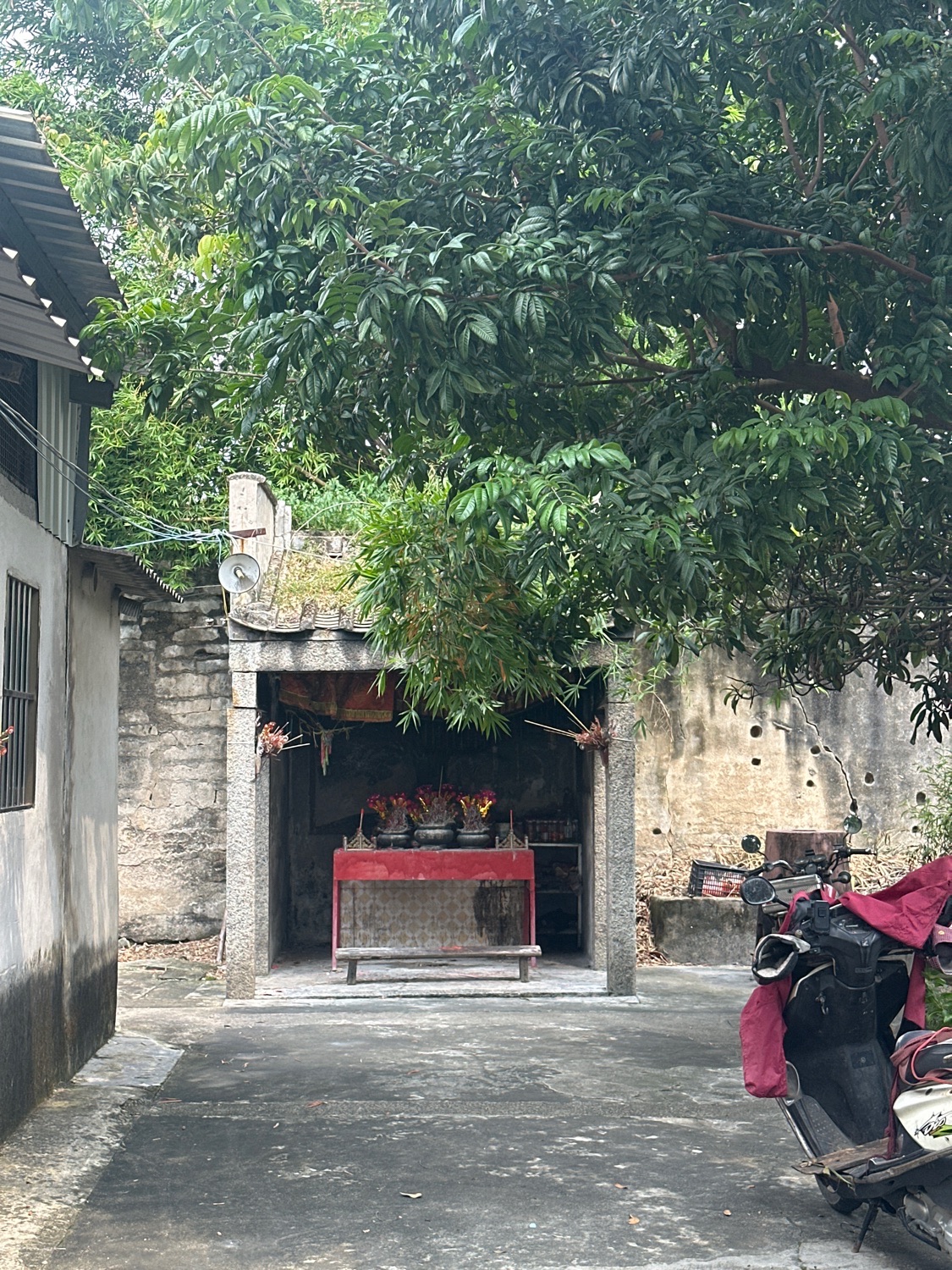 大巷树爷公庙实景照片