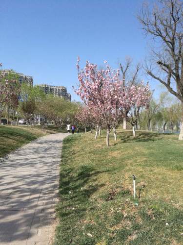 徒骇河湿地公园旅行图片 3