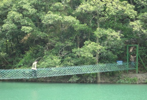 绿荷塘古楠木森林公园旅行图片 1