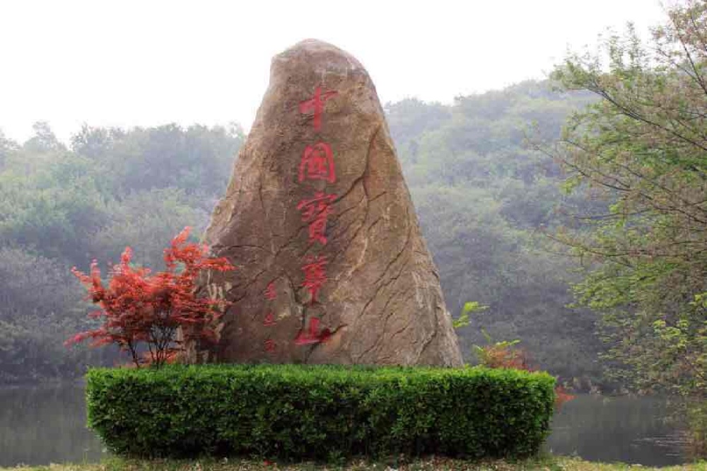 宝华山国家森林公园景点图片