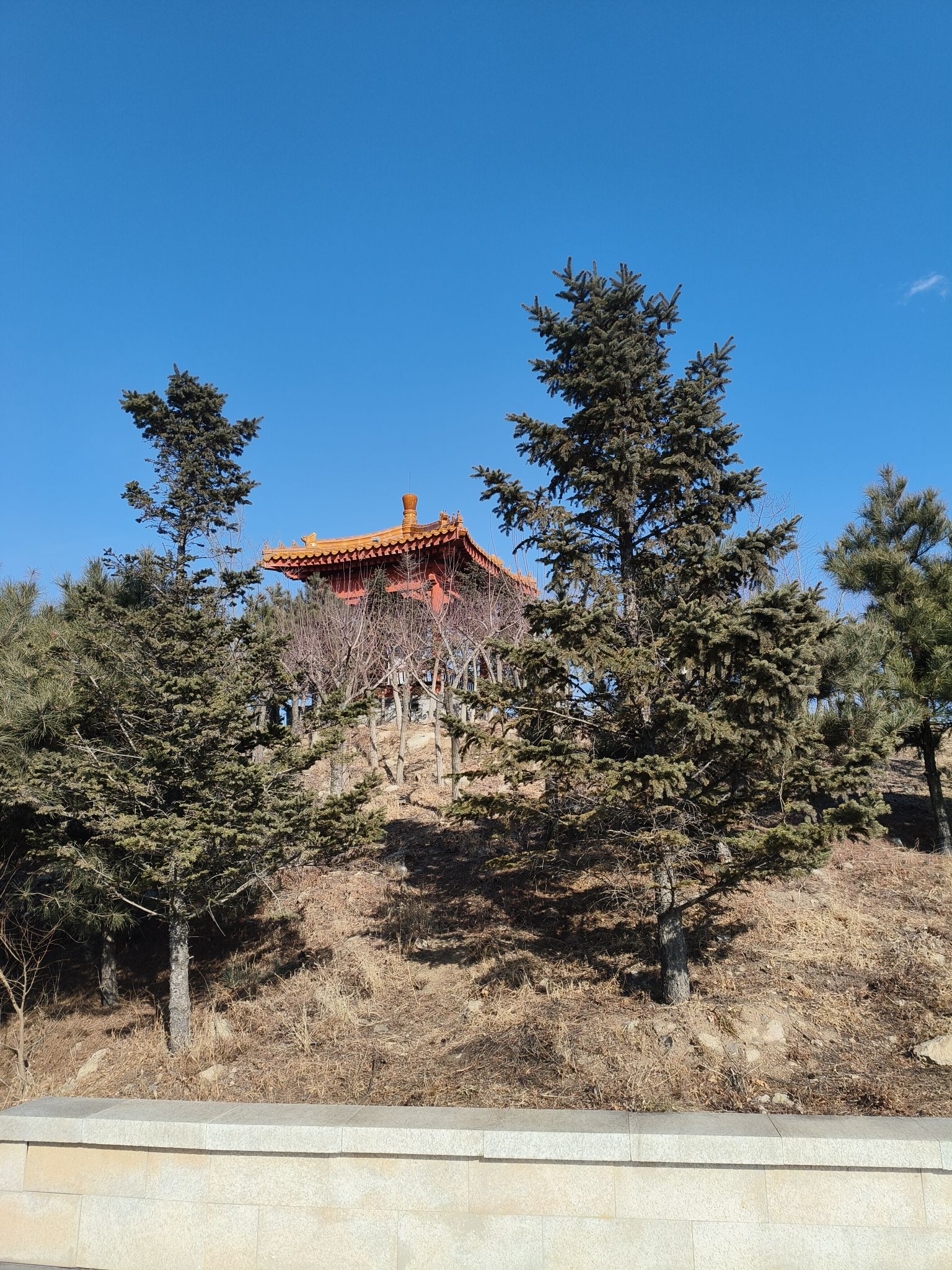 南山公园-观景台