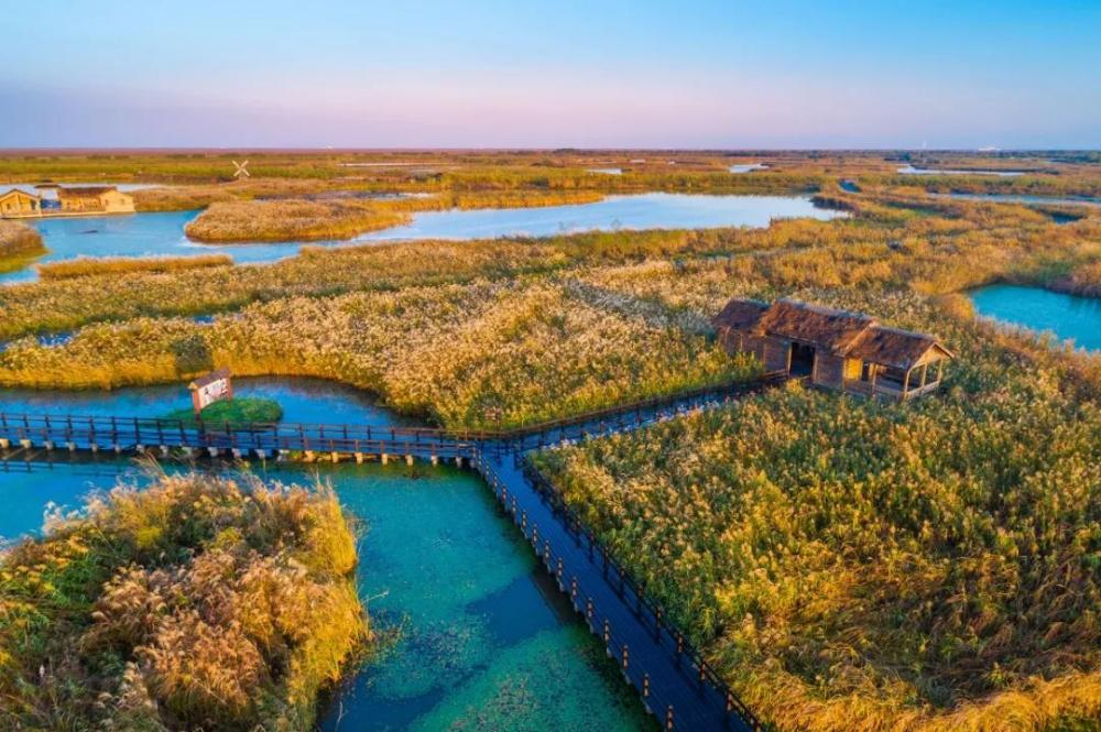 杭州湾国家湿地公园景点图片