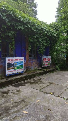 百丈湖旅行图片 1
