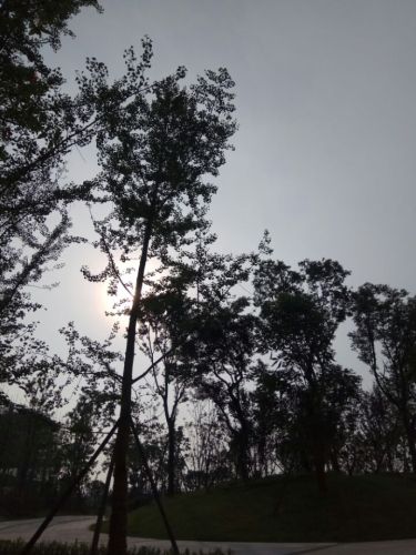 市民广场旅行图片 1