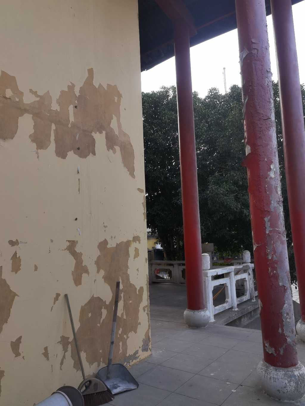 大士禅林-玉佛殿实景照片