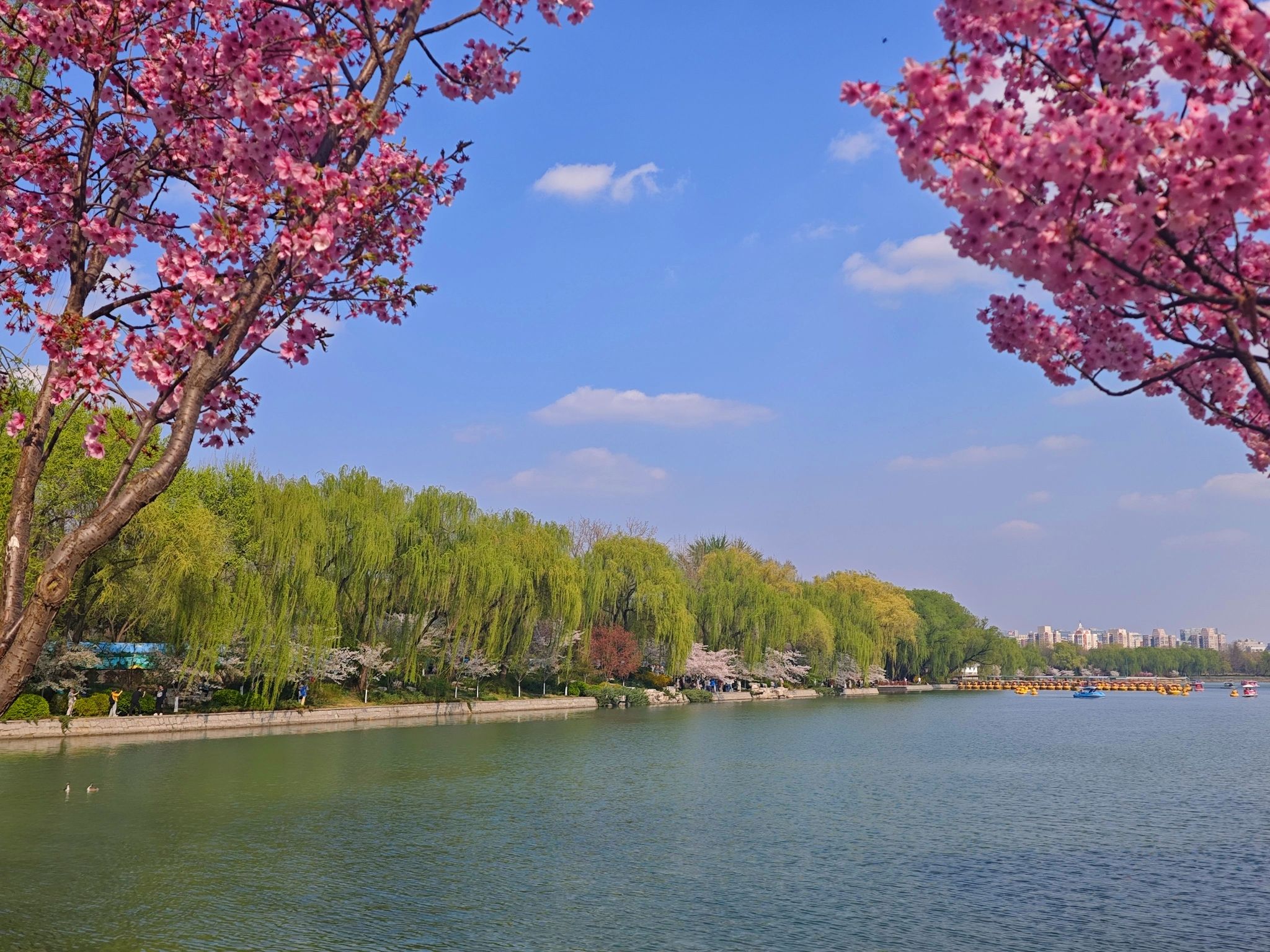 北京市玉渊潭公园景区（高德地图）