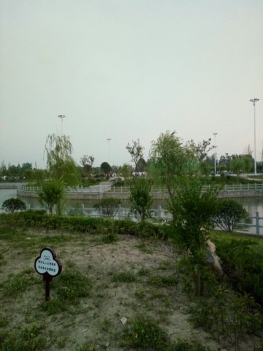 罗桥公园旅行图片 2