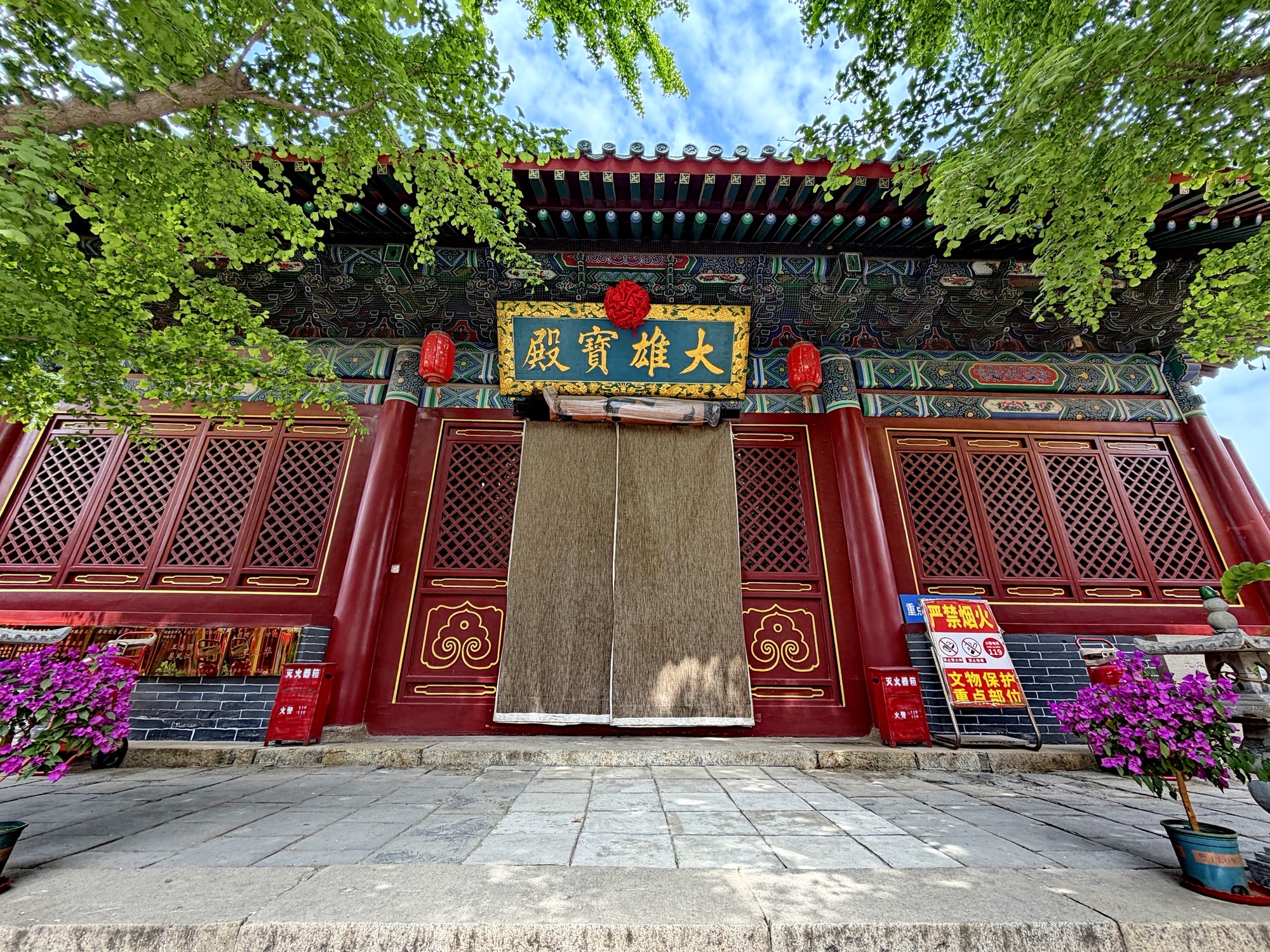龙泉禅寺 3