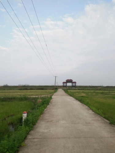 万魁塔旅行图片 1