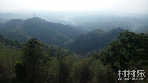 杨林坳风景区旅行图片 3
