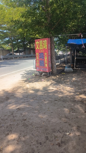 文昌鸡场