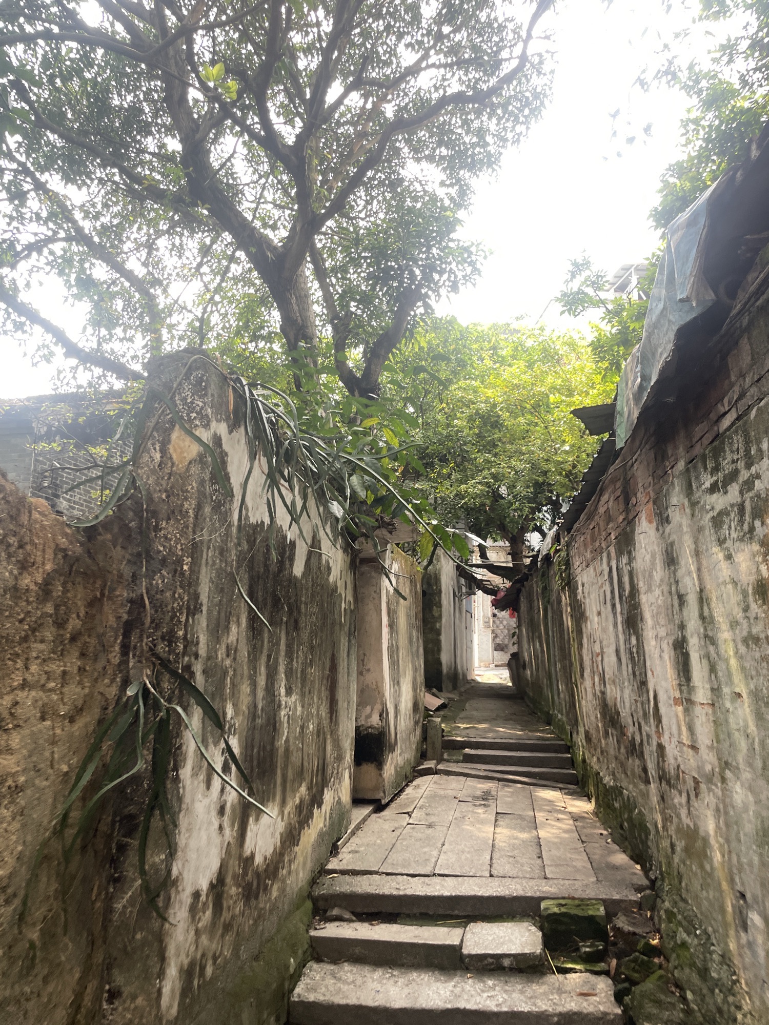 耕隐卓公祠实景照片