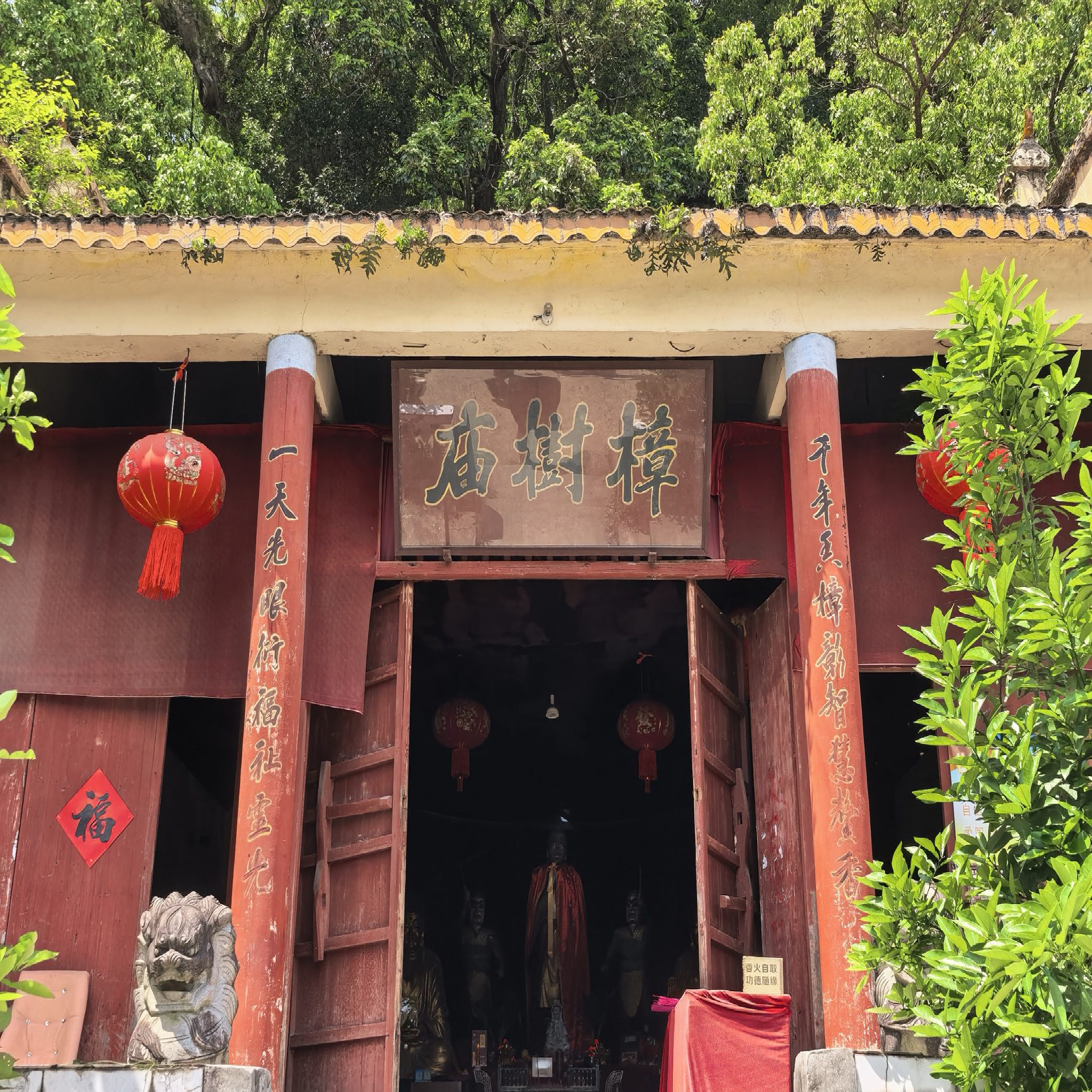樟树庙(千年古樟)实景照片