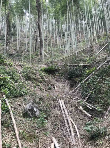 贵溪鬼谷洞旅行图片 1