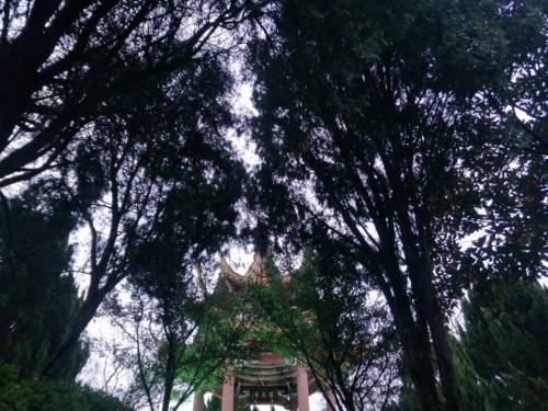 球山公园旅行图片 2