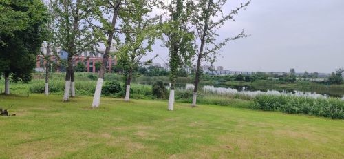 门户公园