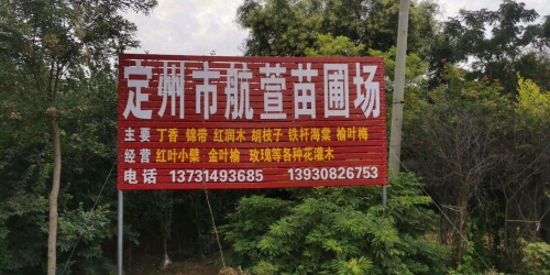 定州市航萱苗圃场